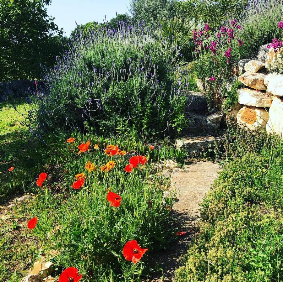오스투니 Casa Della Scrittrice B&B 외부 사진