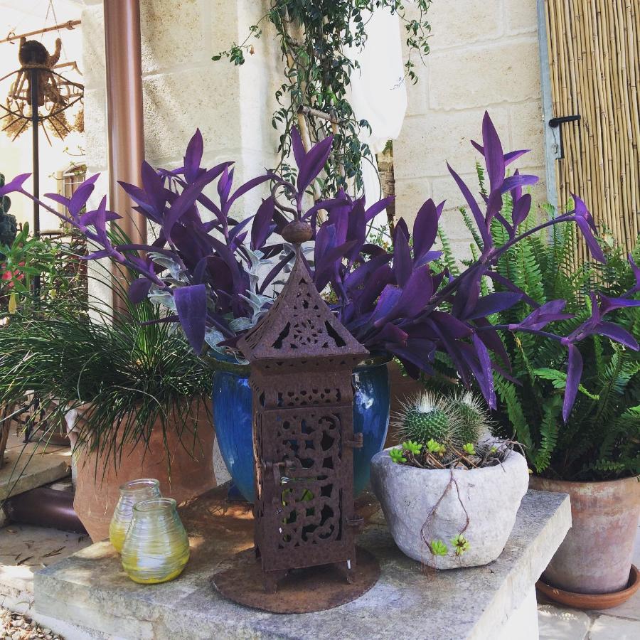 오스투니 Casa Della Scrittrice B&B 외부 사진