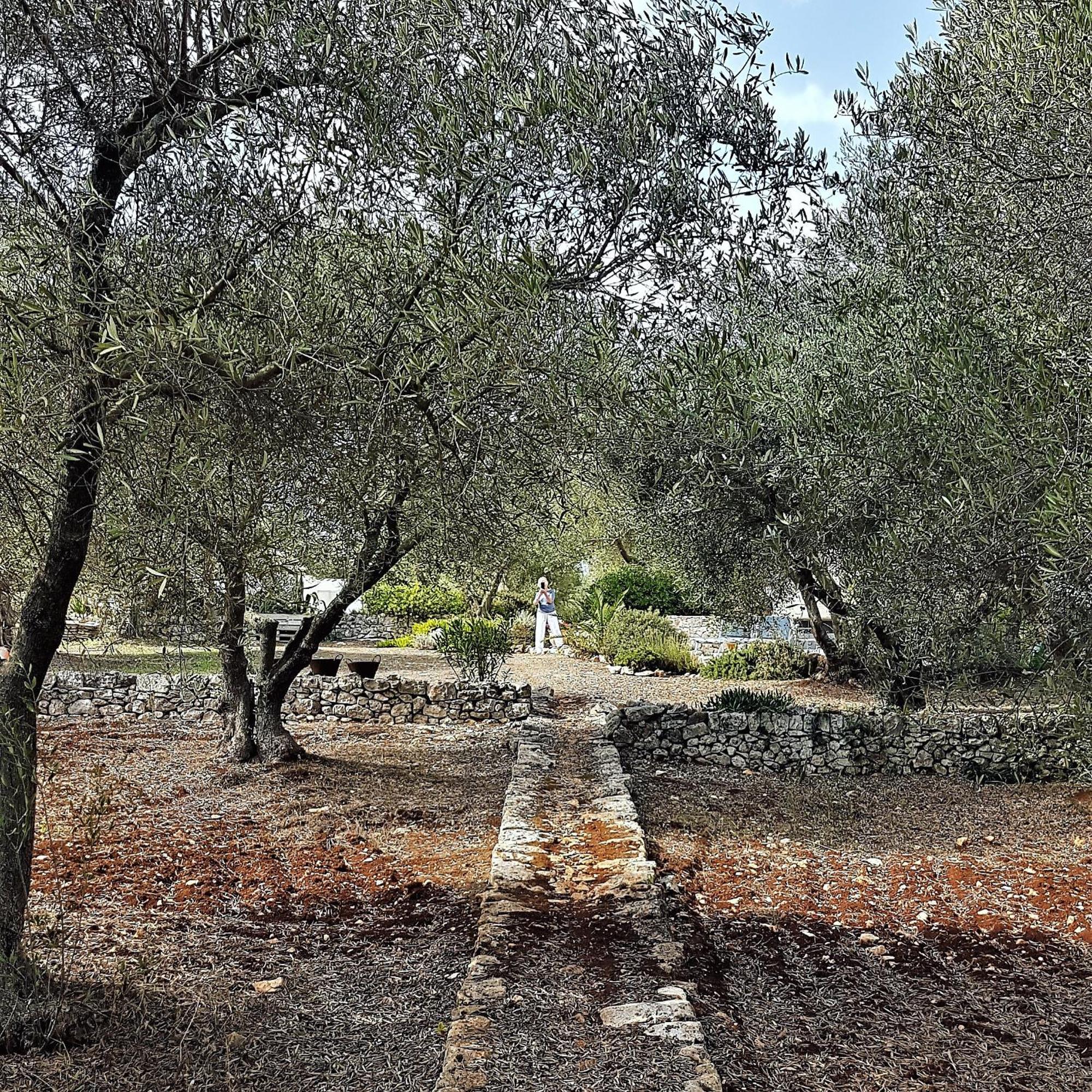 오스투니 Casa Della Scrittrice B&B 외부 사진