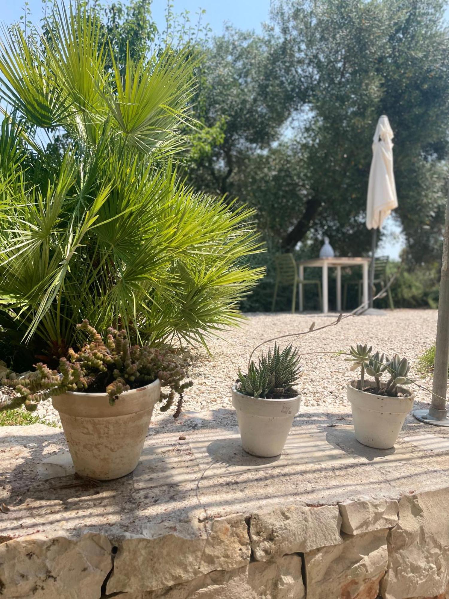 오스투니 Casa Della Scrittrice B&B 객실 사진